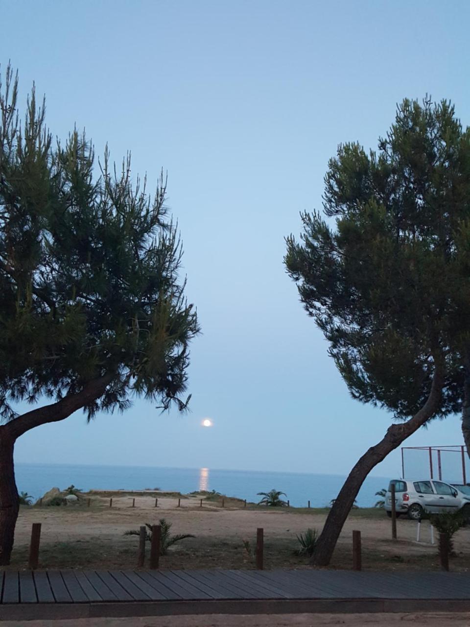 Hotel Baia Cea 바리사르도 외부 사진